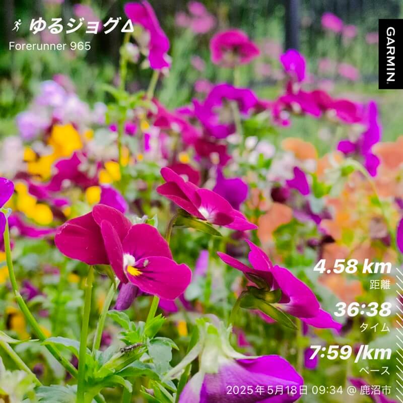 5月16日のラン写真(シューズ裏)