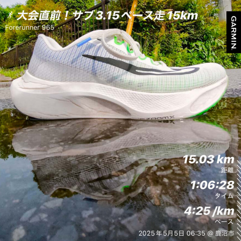 水面に映るズームフライ5