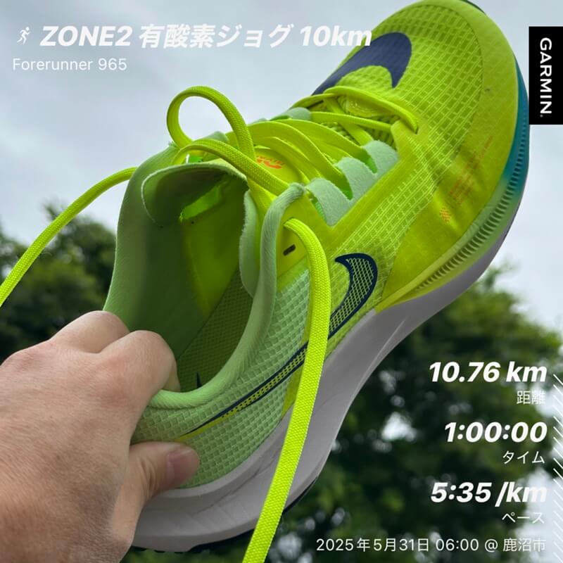 ライバルフライ3で早朝ジョグ