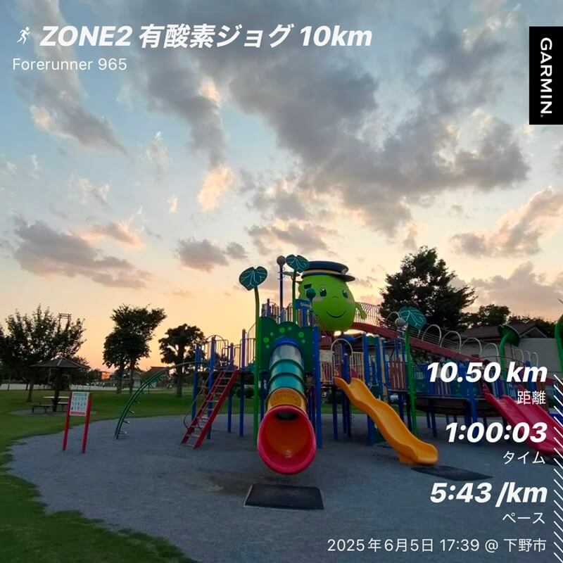 カンピくんと夕方のランニング風景