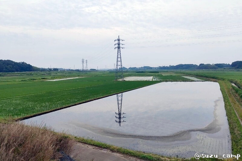 ラン中に見た田んぼと送電線の風景
