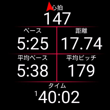 Garmin通常画面:赤い矢印による進行方向のナビ