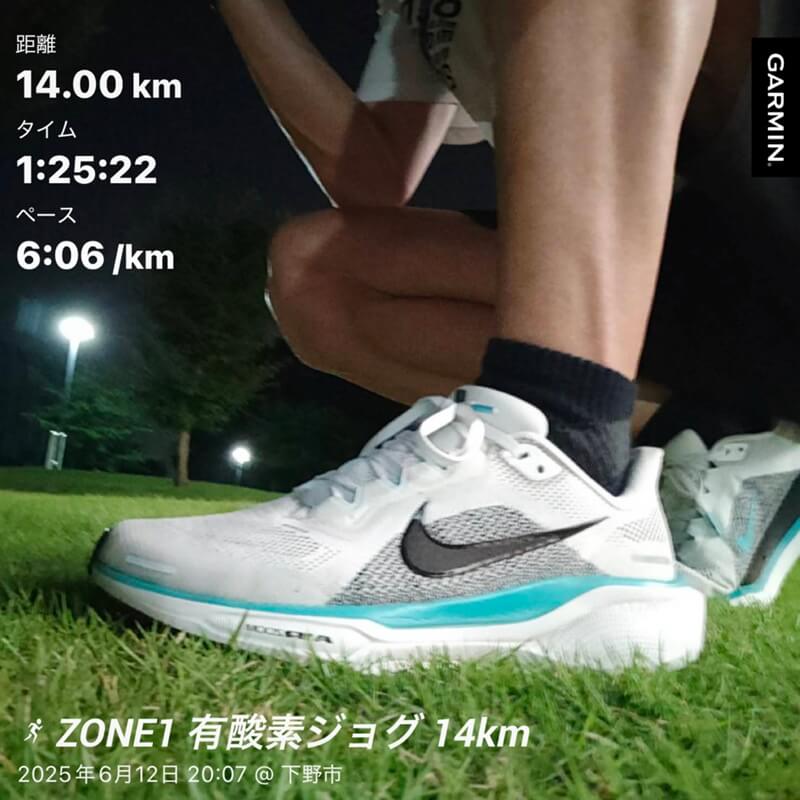 ナイキペガサス41を履いて夜ラン