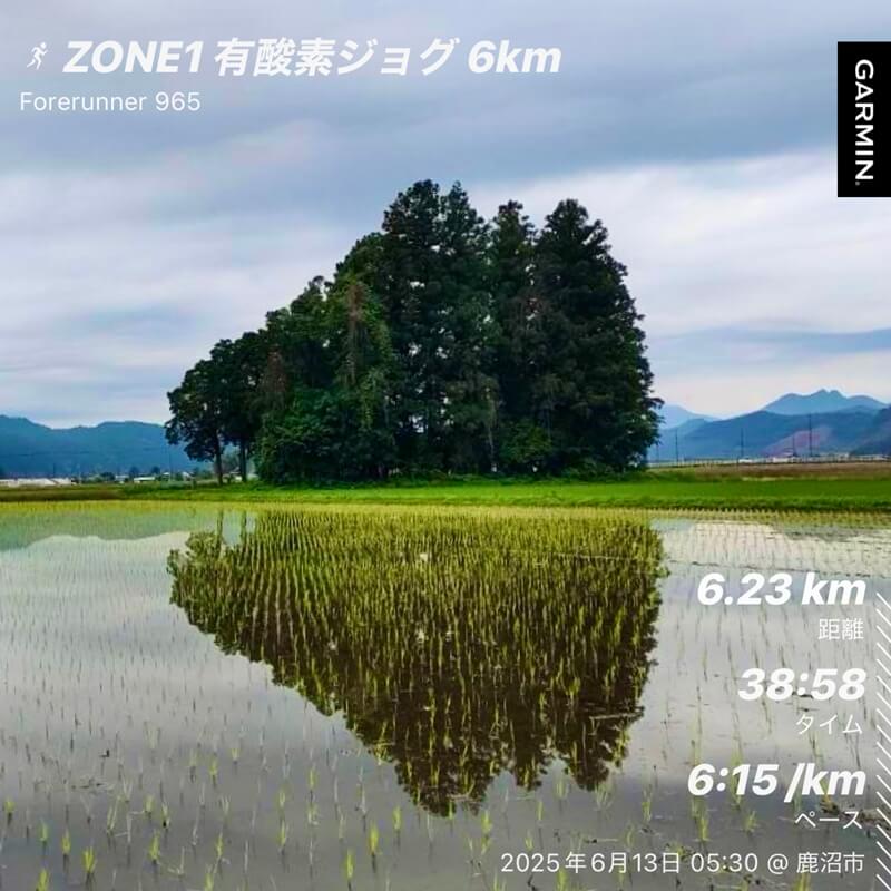 田んぼに映る木々を背景にした早朝ラン記録画像