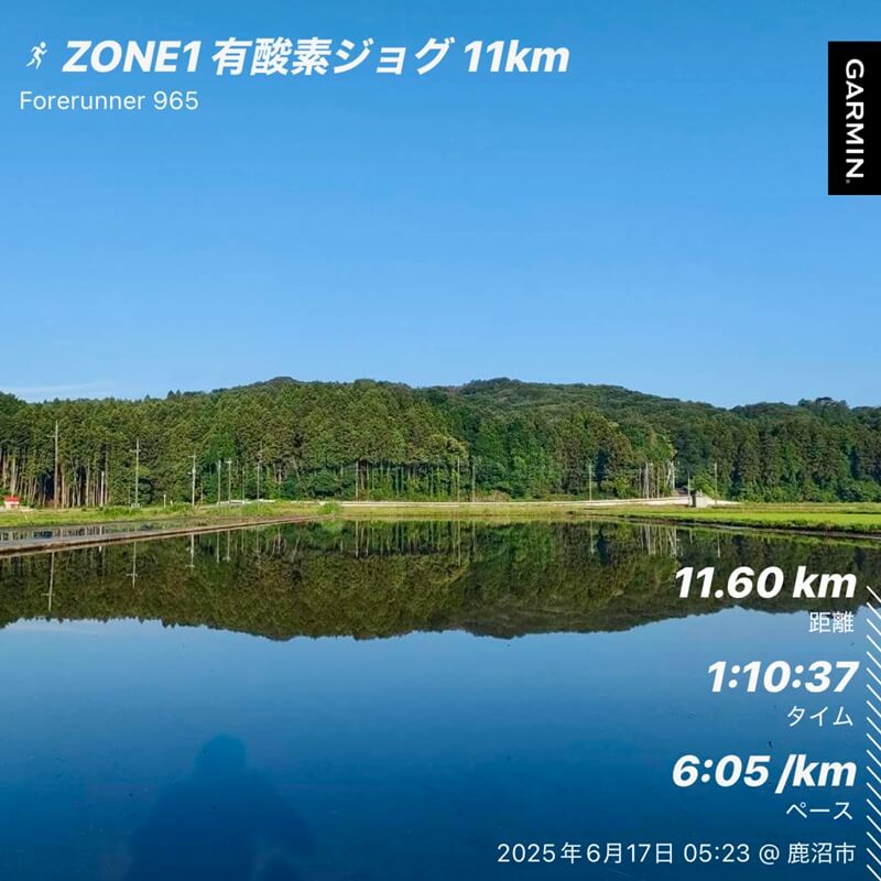 早朝の田んぼに青空が映る美しい景色とジョグの記録