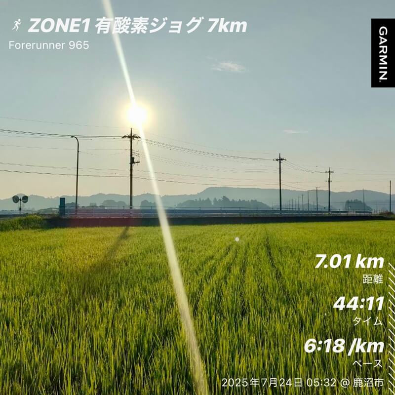 2025年7月24日の朝ラン写真