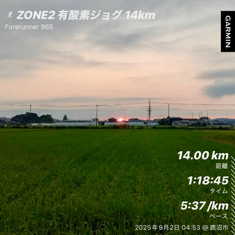 朝焼けの田んぼ道を走る途中の風景