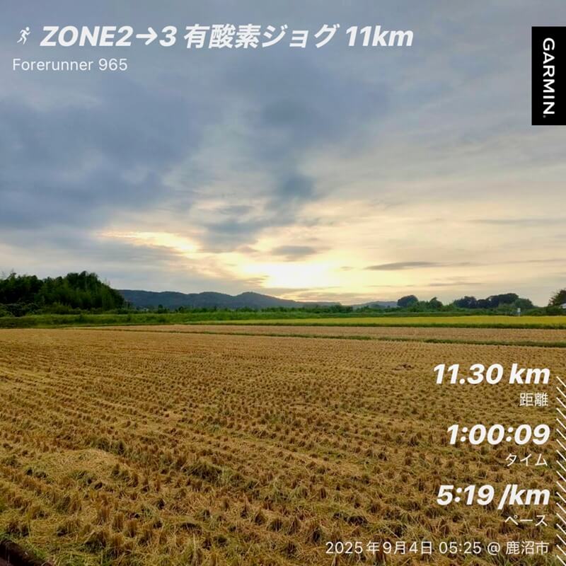 稲刈り後の田んぼと広がる空