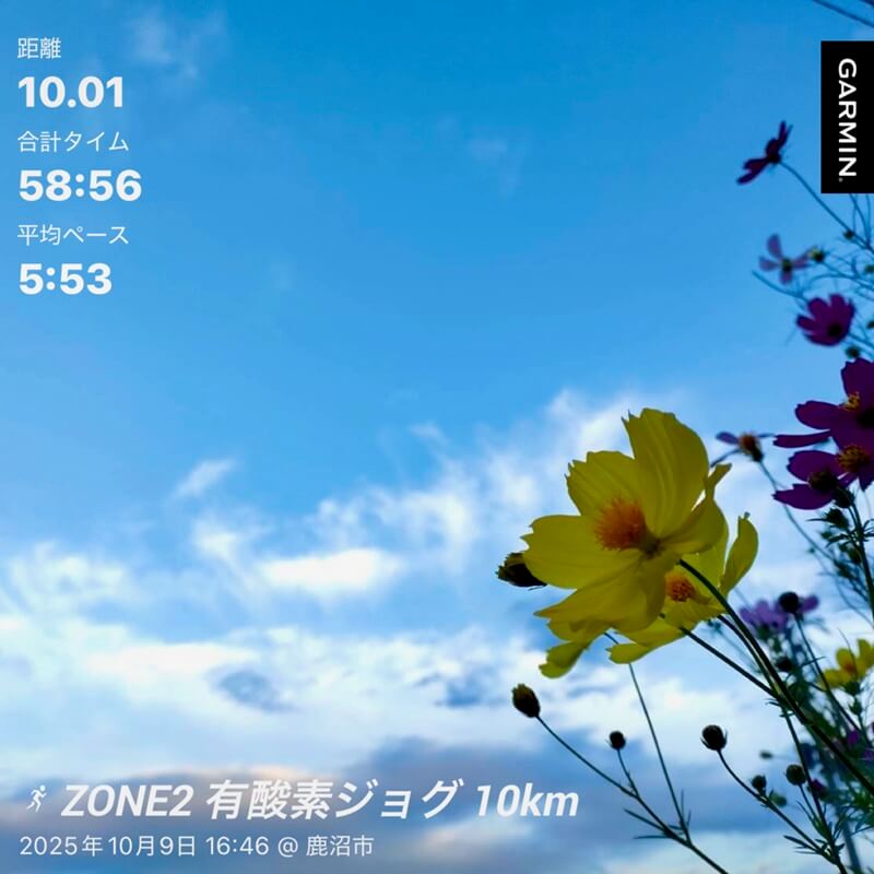 秋空の下で行った10kmジョグ。気持ちを切り替えながら前へ進む。