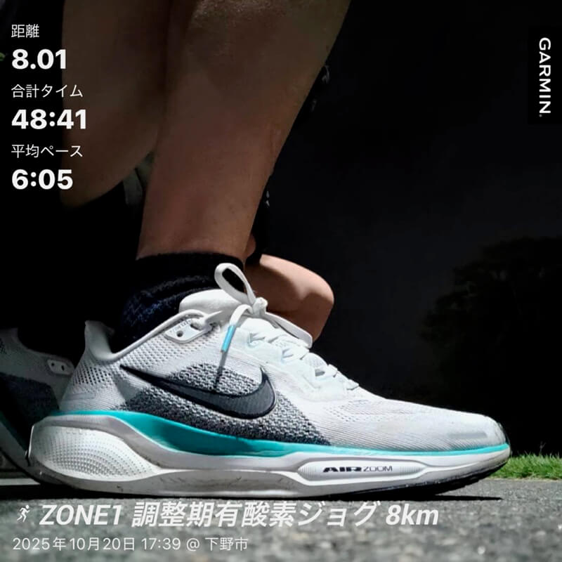 10月20日|夜の調整ジョグ。白いペガサス41で静かに8km。