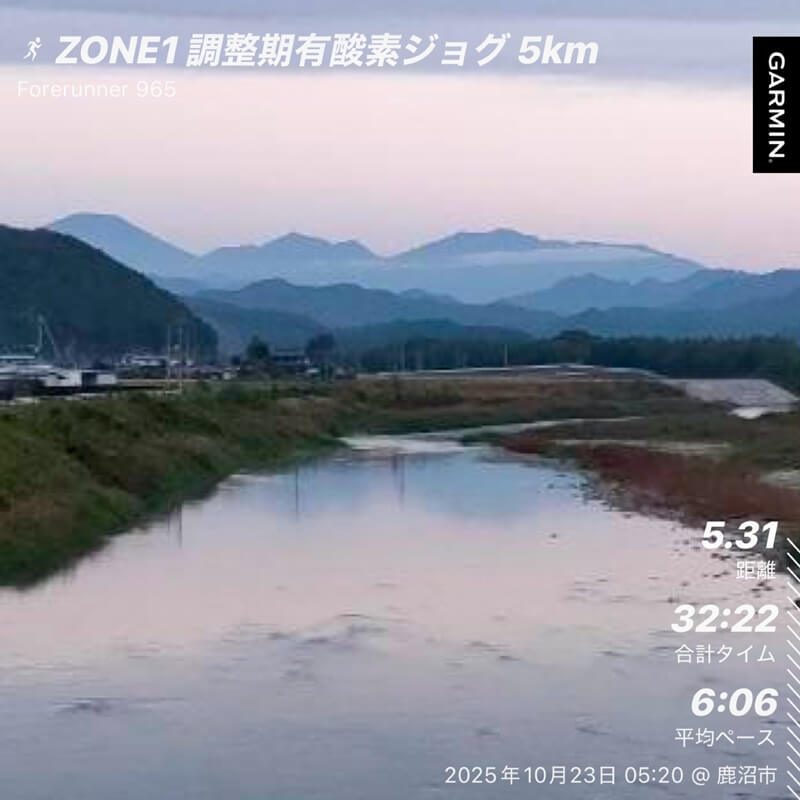 10月23日|川沿いの静かな朝、ペガサス41(黄色)でリラックスジョグ。