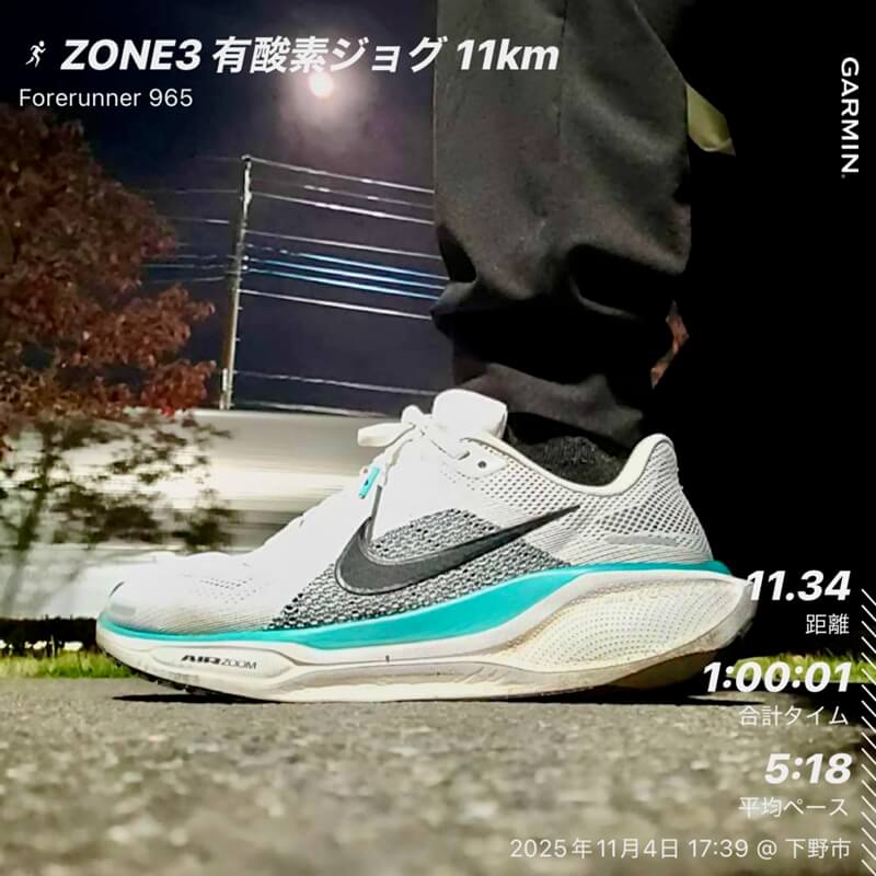 11月4日 有酸素ジョグ 11km ペガサス41