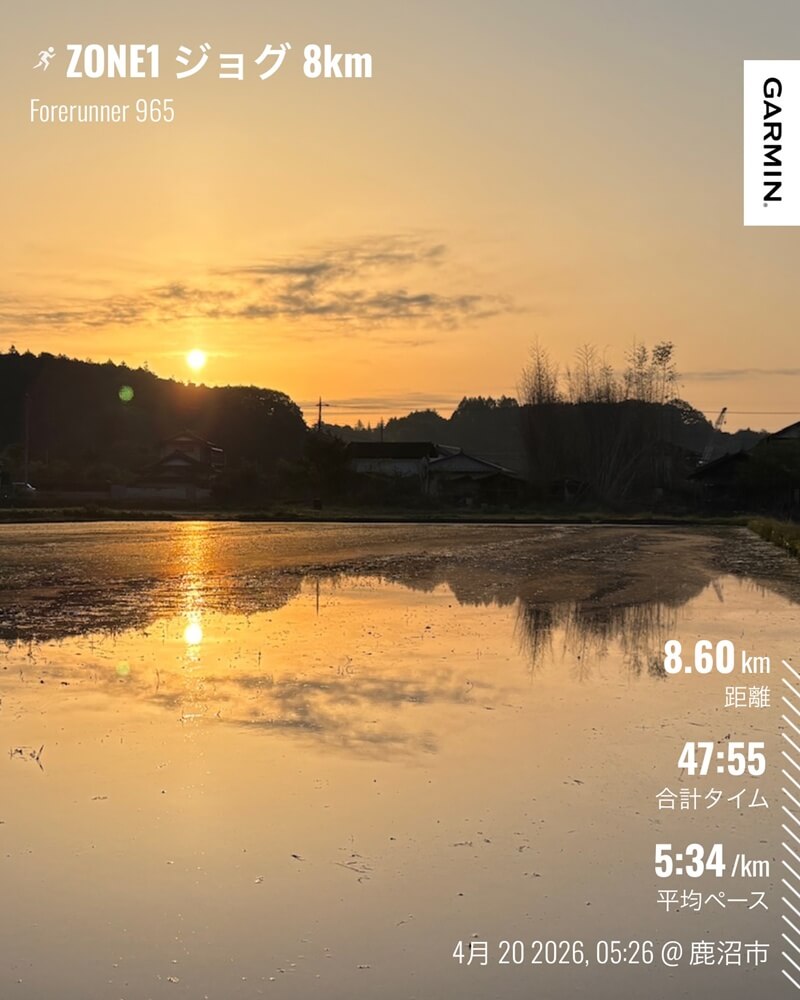 水を張り始めた田んぼに朝日が映る4月20日の朝ラン風景