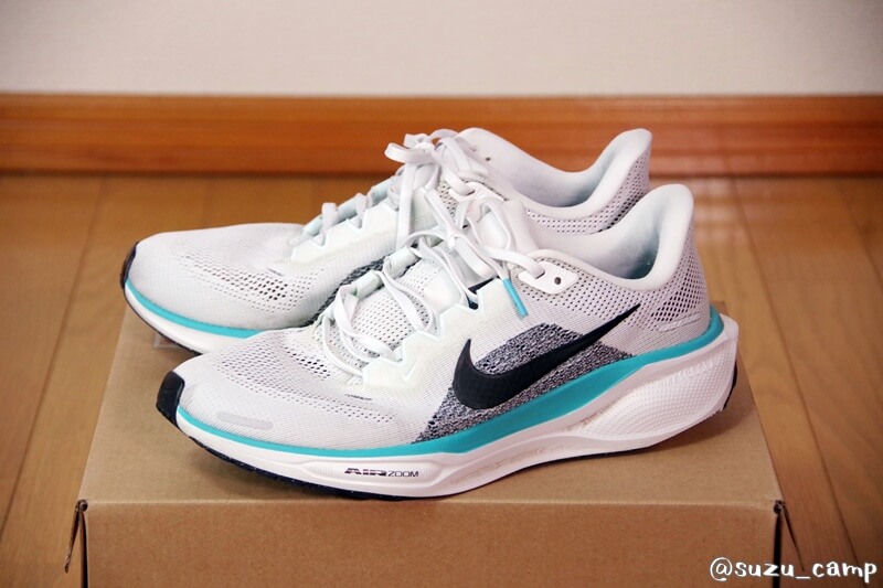 ナイキ ペガサス41 白の外観写真