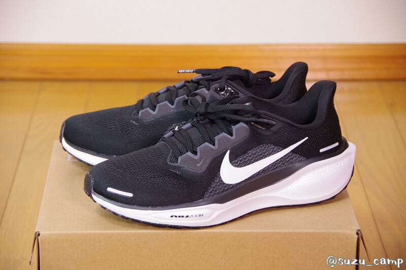 ナイキ ペガサス41 黒の外観写真