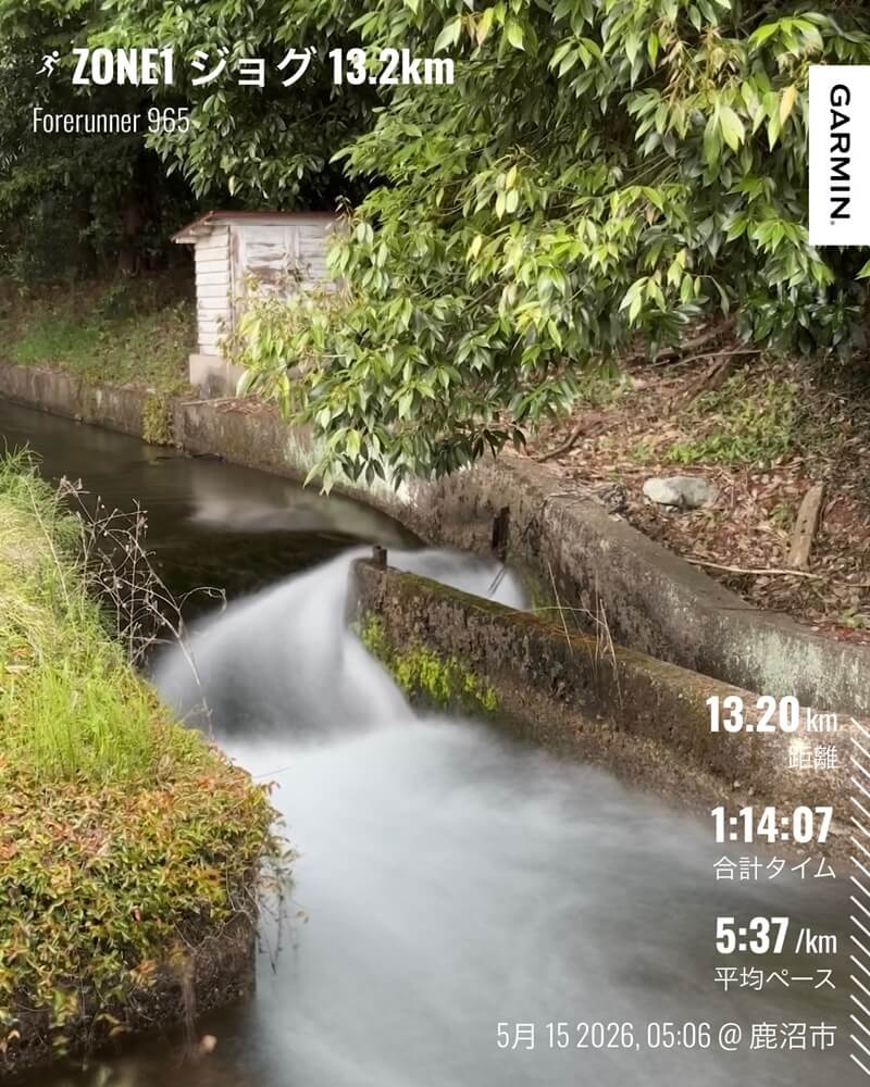 5月15日のZONE1ジョグ Garmin記録