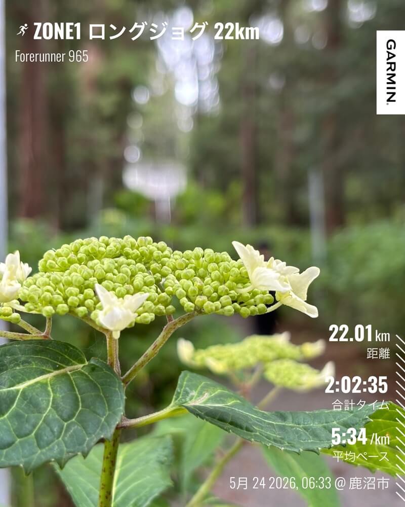 5月24日 ZONE1ロングジョグ22kmのGarmin記録