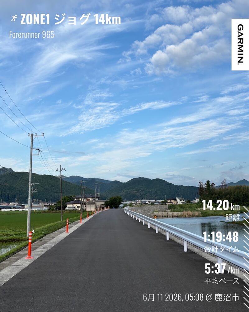 6月11日 ZONE1ジョグ14.2km ペガサス41黄