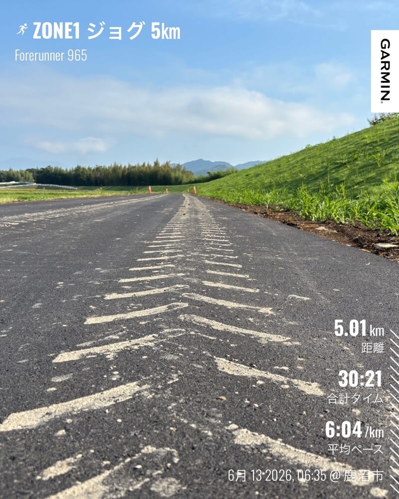 6月13日 NIKKO RUN前日のZONE1ジョグ5kmとWS ペガサス41黒