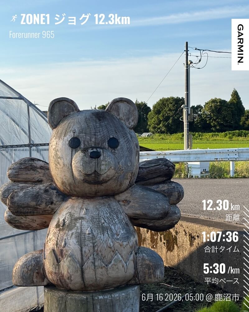 朝ラン中に見つけた木彫りの熊