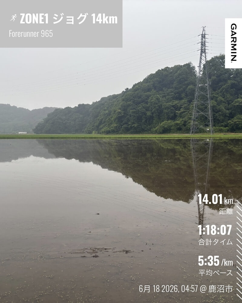 曇り空と小雨の中を走った14kmのZONE1ジョグ