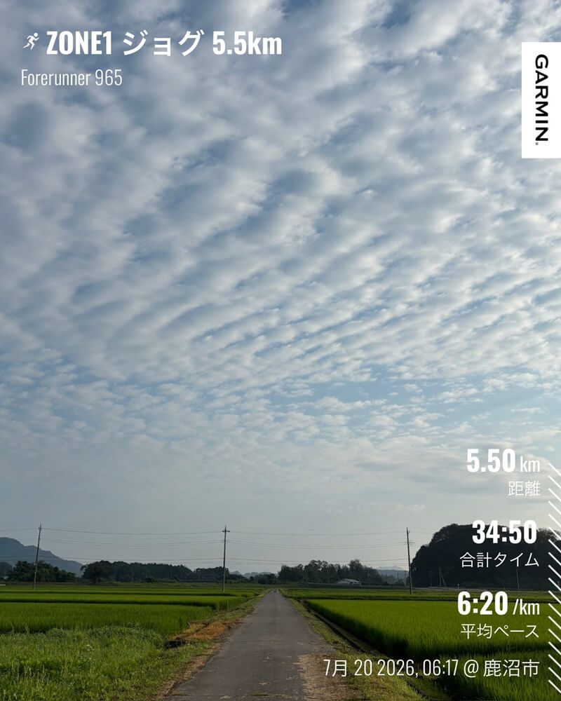 田園風景の中を走った7月20日のZONE1ジョグ