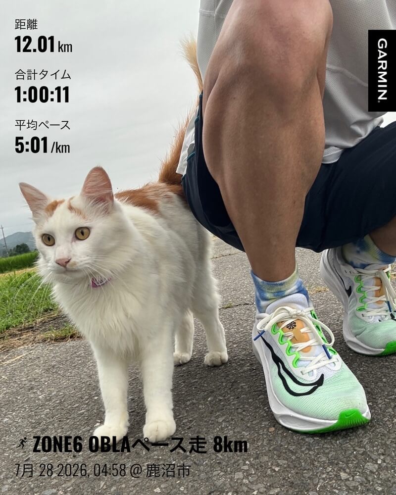 猫と一緒に撮影した7月28日のOBLAペース走