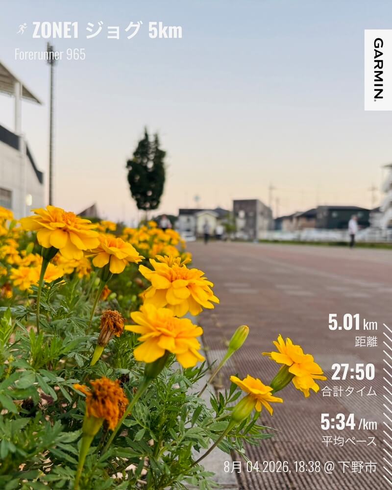 8月4日の夕方に行ったZONE1ジョグ