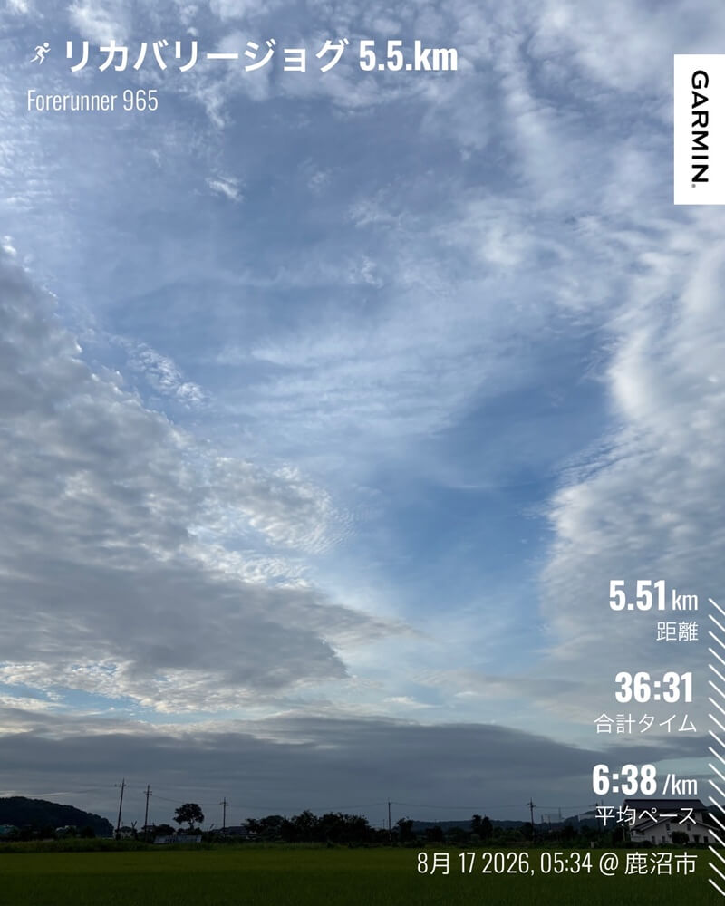 8月17日朝のリカバリージョグで見上げた空