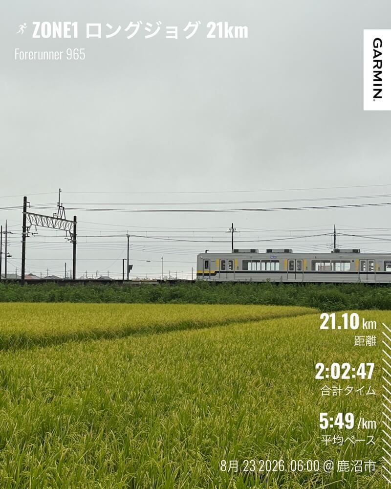 色づく稲穂と電車を眺めながら走った21kmロングジョグ