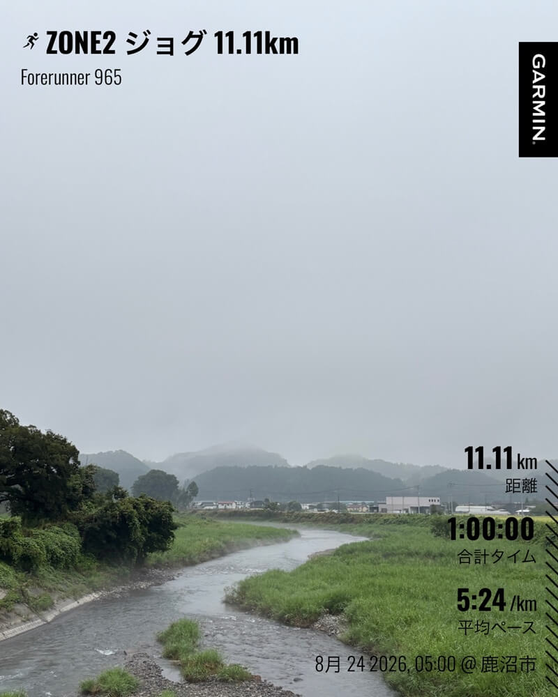 朝もやに包まれた川沿い