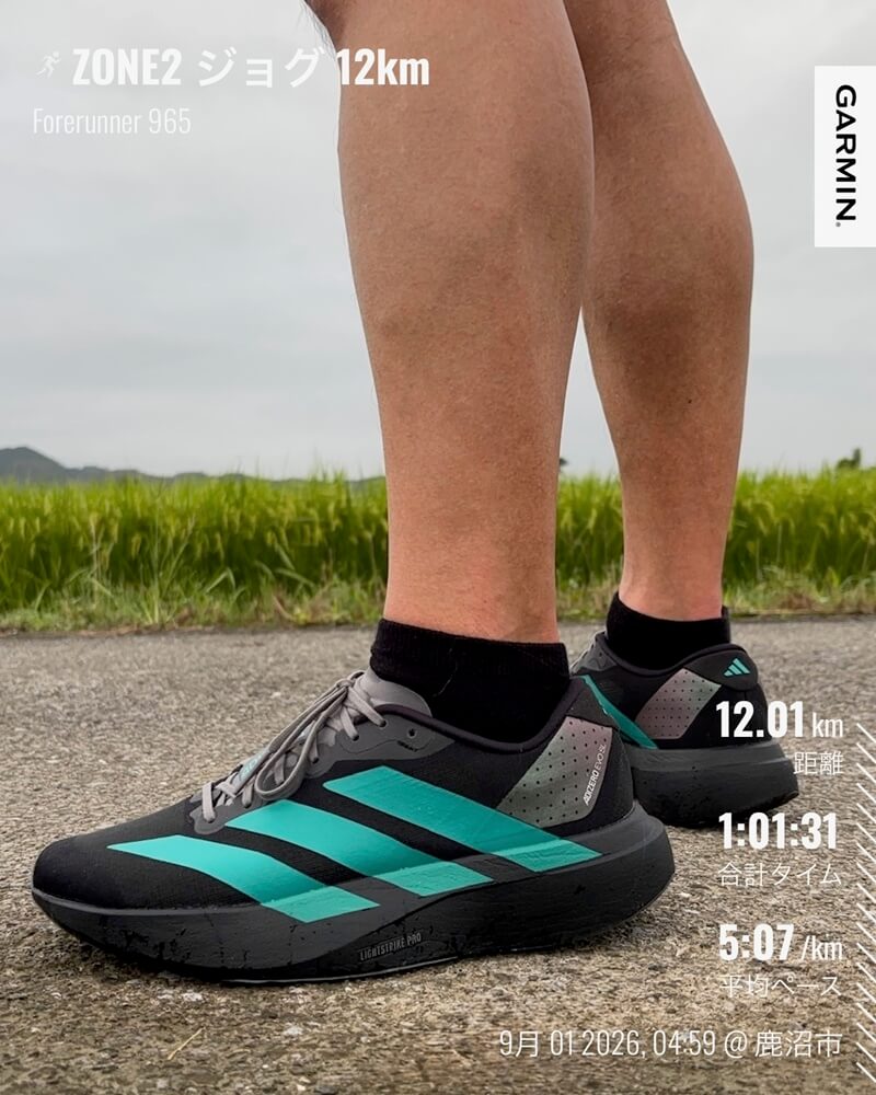 初使用したadidas ADIZERO EVO SL