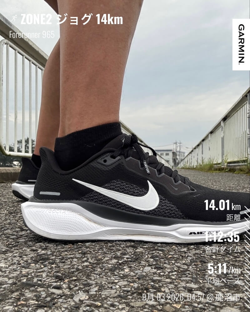 9月3日の朝ランで使用した黒のNikeペガサス41