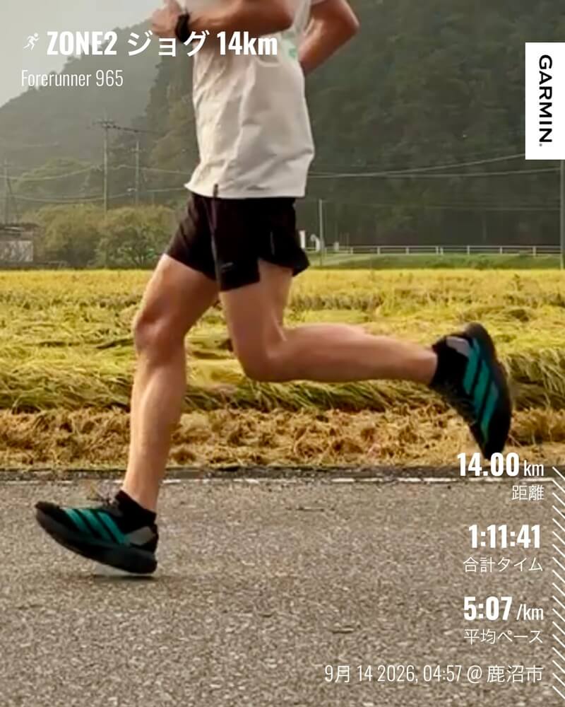 adidas ADIZERO EVO SLを履いて田んぼ沿いを走るすずパパ