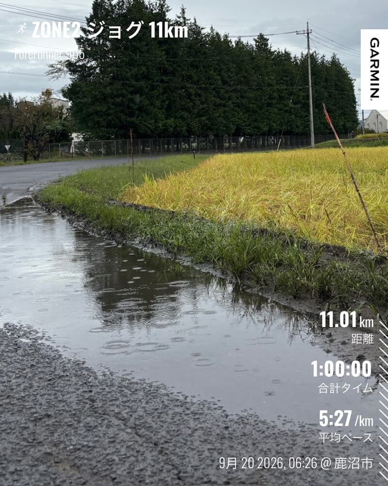 雨にぬれた田園風景の中を走るシャワーラン
