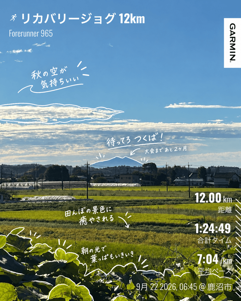 青空の下、田園風景の向こうに見える筑波山
